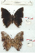  ( - BC-EV1203)  @11 [ ] Unspecified (default): All Rights Reserved  Unspecified Unspecified