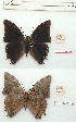  ( - BC-EV1204)  @11 [ ] Unspecified (default): All Rights Reserved  Unspecified Unspecified