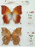  ( - BC-EV1208)  @11 [ ] Unspecified (default): All Rights Reserved  Unspecified Unspecified