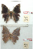  ( - BC-EV1243)  @11 [ ] Unspecified (default): All Rights Reserved  Unspecified Unspecified