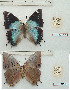  ( - BC-EV1244)  @11 [ ] Unspecified (default): All Rights Reserved  Unspecified Unspecified