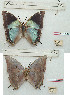  ( - BC-EV1248)  @11 [ ] Unspecified (default): All Rights Reserved  Unspecified Unspecified