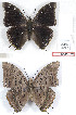  ( - BC-EV1269)  @11 [ ] Unspecified (default): All Rights Reserved  Unspecified Unspecified