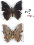  ( - BC-EV1270)  @11 [ ] Unspecified (default): All Rights Reserved  Unspecified Unspecified