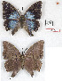  ( - BC-EV1271)  @11 [ ] Unspecified (default): All Rights Reserved  Unspecified Unspecified