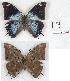  ( - BC-EV1272)  @13 [ ] Unspecified (default): All Rights Reserved  Unspecified Unspecified