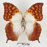  ( - BC-EV1280)  @11 [ ] Unspecified (default): All Rights Reserved  Unspecified Unspecified