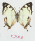  ( - BC-EV1289)  @11 [ ] Unspecified (default): All Rights Reserved  Unspecified Unspecified