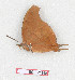  ( - BC-EV1290)  @11 [ ] Unspecified (default): All Rights Reserved  Unspecified Unspecified