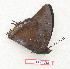  ( - BC-EV1315)  @11 [ ] Unspecified (default): All Rights Reserved  Unspecified Unspecified
