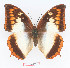  ( - BC-EV1354)  @14 [ ] Unspecified (default): All Rights Reserved  Unspecified Unspecified