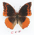  ( - BC-EV1355)  @14 [ ] Unspecified (default): All Rights Reserved  Unspecified Unspecified
