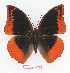 ( - BC-EV1356)  @14 [ ] Unspecified (default): All Rights Reserved  Unspecified Unspecified