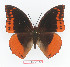  ( - BC-EV1357)  @14 [ ] Unspecified (default): All Rights Reserved  Unspecified Unspecified