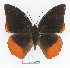  ( - BC-EV1359)  @14 [ ] Unspecified (default): All Rights Reserved  Unspecified Unspecified