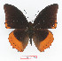  ( - BC-EV1360)  @14 [ ] Unspecified (default): All Rights Reserved  Unspecified Unspecified