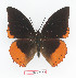  ( - BC-EV1363)  @14 [ ] Unspecified (default): All Rights Reserved  Unspecified Unspecified