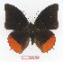  ( - BC-EV1365)  @14 [ ] Unspecified (default): All Rights Reserved  Unspecified Unspecified