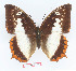  ( - BC-EV1367)  @14 [ ] Unspecified (default): All Rights Reserved  Unspecified Unspecified