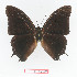  ( - BC-EV1368)  @12 [ ] Unspecified (default): All Rights Reserved  Unspecified Unspecified