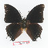  ( - BC-EV1369)  @12 [ ] Unspecified (default): All Rights Reserved  Unspecified Unspecified