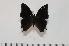  ( - BC-Turl -0131)  @14 [ ] Unspecified (default): All Rights Reserved  Unspecified Unspecified