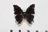  ( - BC-Turl -0147)  @14 [ ] Unspecified (default): All Rights Reserved  Unspecified Unspecified