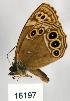  ( - CSG16197)  @13 [ ] Unspecified (default): All Rights Reserved  Unspecified Unspecified
