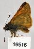  ( - CSG16516)  @12 [ ] Unspecified (default): All Rights Reserved  Unspecified Unspecified