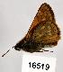  ( - CSG16519)  @12 [ ] Unspecified (default): All Rights Reserved  Unspecified Unspecified