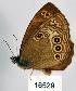  ( - CSG16529)  @14 [ ] Unspecified (default): All Rights Reserved  Unspecified Unspecified