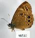  ( - CSG16530)  @14 [ ] Unspecified (default): All Rights Reserved  Unspecified Unspecified
