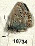  ( - CSG16734)  @13 [ ] Unspecified (default): All Rights Reserved  Unspecified Unspecified