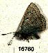  ( - CSG16760)  @13 [ ] Unspecified (default): All Rights Reserved  Unspecified Unspecified