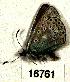  ( - CSG16761)  @13 [ ] Unspecified (default): All Rights Reserved  Unspecified Unspecified