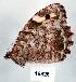  ( - CSG16826)  @12 [ ] Unspecified (default): All Rights Reserved  Unspecified Unspecified