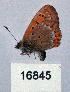  ( - CSG16845)  @12 [ ] Unspecified (default): All Rights Reserved  Unspecified Unspecified