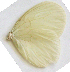  ( - GVW-09-11315)  @12 [ ] Unspecified (default): All Rights Reserved  Unspecified Unspecified