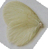 ( - GVW-09-11315.1)  @12 [ ] Unspecified (default): All Rights Reserved  Unspecified Unspecified