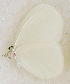  ( - GVW-09-6564)  @12 [ ] Unspecified (default): All Rights Reserved  Unspecified Unspecified