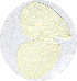  ( - JDP-08-8167)  @12 [ ] Unspecified (default): All Rights Reserved  Unspecified Unspecified