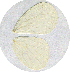  ( - JDP-08-8168)  @12 [ ] Unspecified (default): All Rights Reserved  Unspecified Unspecified
