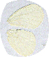  ( - JDP-08-8169)  @12 [ ] Unspecified (default): All Rights Reserved  Unspecified Unspecified