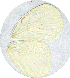  ( - JDP-08-8170)  @12 [ ] Unspecified (default): All Rights Reserved  Unspecified Unspecified