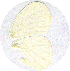  ( - JDP-08-8171)  @12 [ ] Unspecified (default): All Rights Reserved  Unspecified Unspecified
