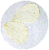  ( - JDP-08-8172)  @12 [ ] Unspecified (default): All Rights Reserved  Unspecified Unspecified