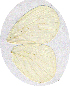  ( - JDP-08-8173)  @12 [ ] Unspecified (default): All Rights Reserved  Unspecified Unspecified