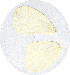  ( - JDP-08-8174)  @12 [ ] Unspecified (default): All Rights Reserved  Unspecified Unspecified