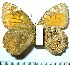  ( - RVcoll.08-M666)  @13 [ ] Copyright (2010) Unspecified Institute of Evolutionary Biology