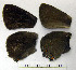  ( - RVcoll.08-M390)  @12 [ ] Copyright (2010) Unspecified Institute of Evolutionary Biology